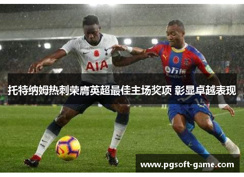 托特纳姆热刺荣膺英超最佳主场奖项 彰显卓越表现 托特纳姆热刺荣膺英超最佳主场奖项 彰显卓越表现